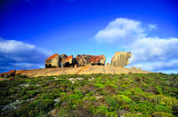 SC137 Remarkable Rocks, Kangaroo Island South Australia